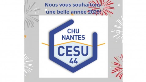 Le CESU44 vous souhaite une belle année 2025!